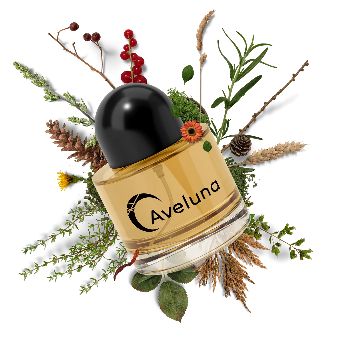 Schmuck. Duft. Dein Ritual.